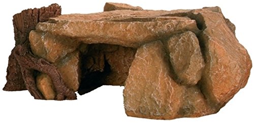 Piedra-cueva con tronco