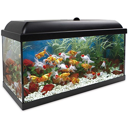 Aquarium Kit Aqualed pro black 100