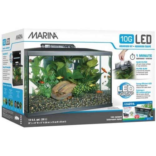 Marina LED Aquarium Kit 10G