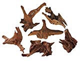 TM Aquatix Mangrove - Madera de acuario (1 pieza) - Tamaño de la raíz 20 â€“ 30 cm (madera de riego iWAGUMIAQUASCAPING BOGW)