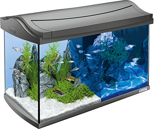 Tetra Aquarium Kit LED AquaArt 60 liters